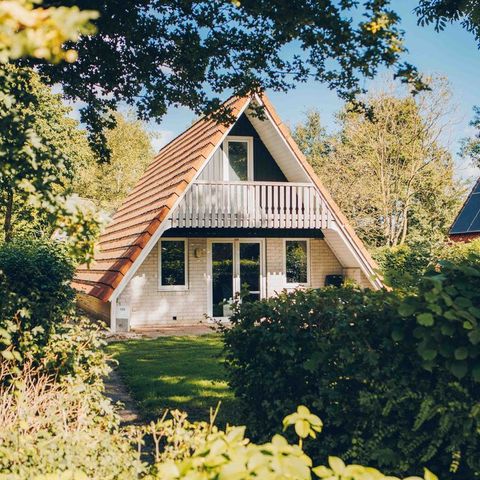 BUNGALOW 6 personnes - Vechtdal