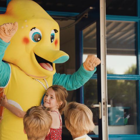 Villapark De Paardekreek - Beveland-Nord - Image N°4