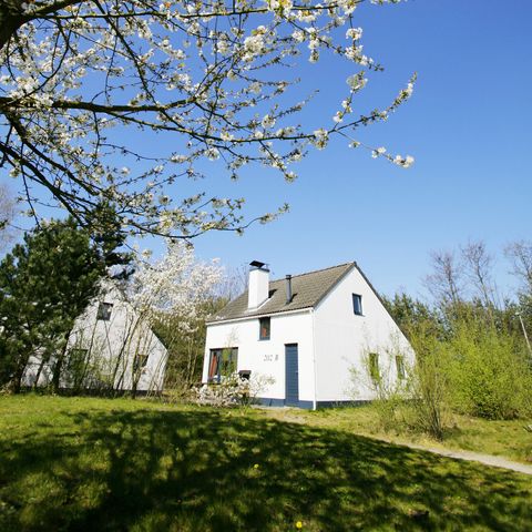 BUNGALOW 6 personnes - Exclusif KM533