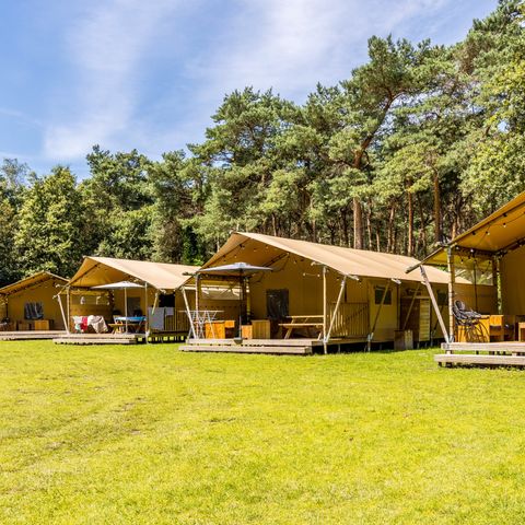 Tente en toile et en bois 6 personnes