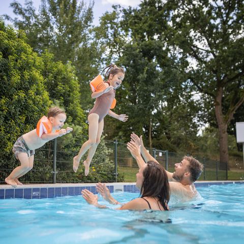 Roompot De Katjeskelder - Oosterhout - Image N°4