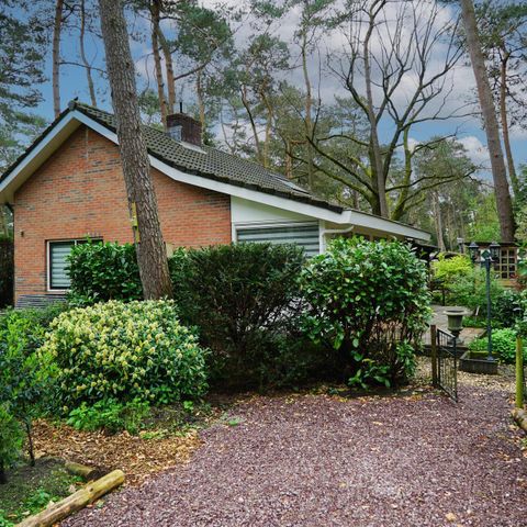 BUNGALOW 6 personnes - Maison forestière