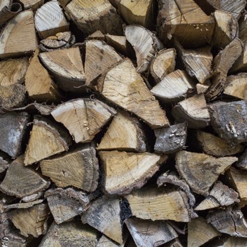 Bungalowpark Schuttersoord - Mook en Middelaar - Image N°5