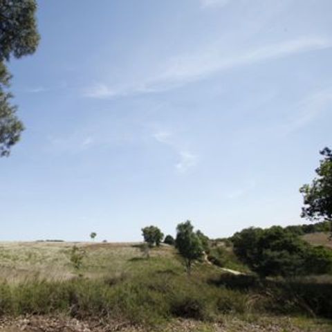 Bungalowpark Schuttersoord - Mook en Middelaar - Image N°3