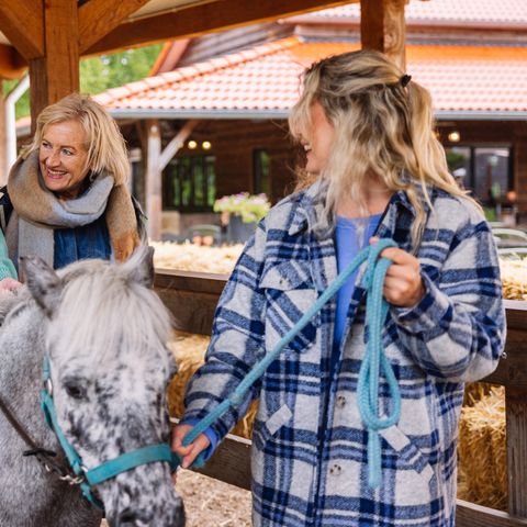 Landal Het Land van Bartje - Borger-Odoorn - Image N°3