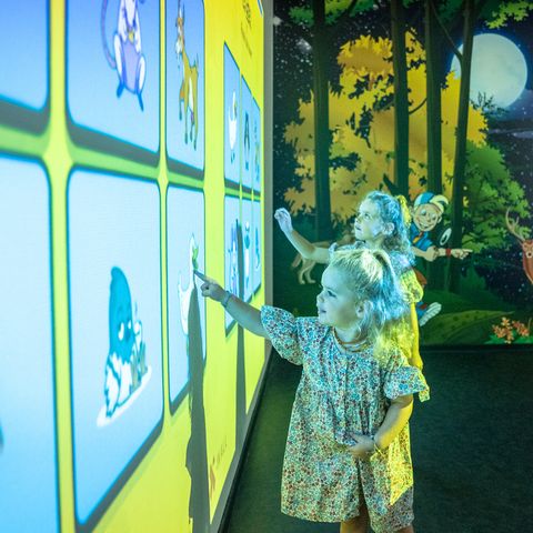 Landal Het Land van Bartje - Borger-Odoorn - Image N°5