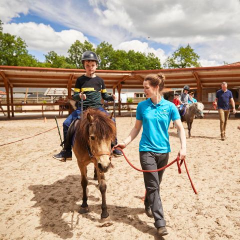 Landal Het Land van Bartje - Camping Borger-Odoorn - Image N°3