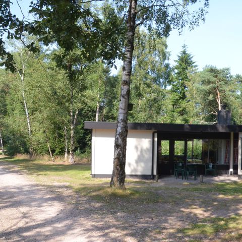 BUNGALOW 6 personnes - Forêt