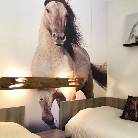 BUNGALOW 6 personnes - Poney