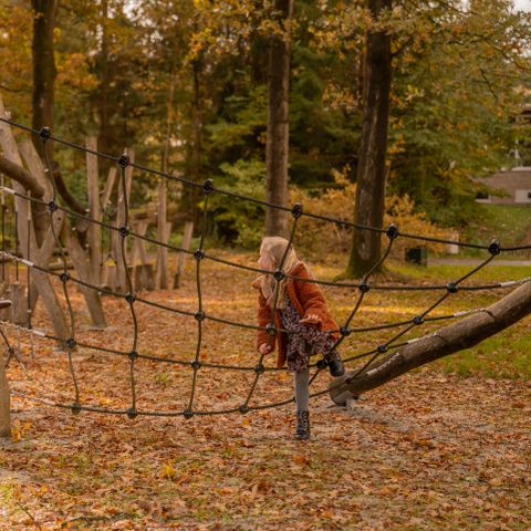 Vakantiepark Witterzomer - Assen - Image N°5