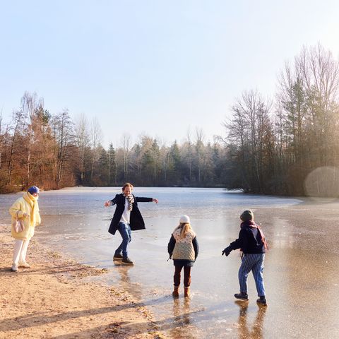 Center Parcs Bispinger Heide - Basse-saxe - Image N°4