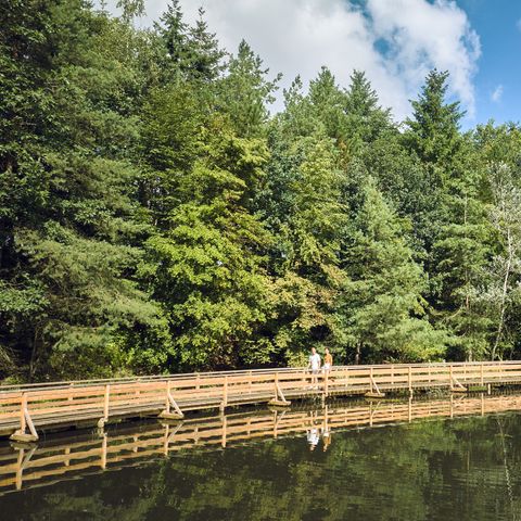 Center Parcs Bispinger Heide - Basse-saxe - Image N°6