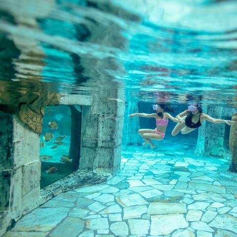 Center Parcs Het Heijderbos - Gennep - Image N°4