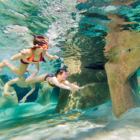 Center Parcs De Vossemeren - Limburg Belge - Image N°6