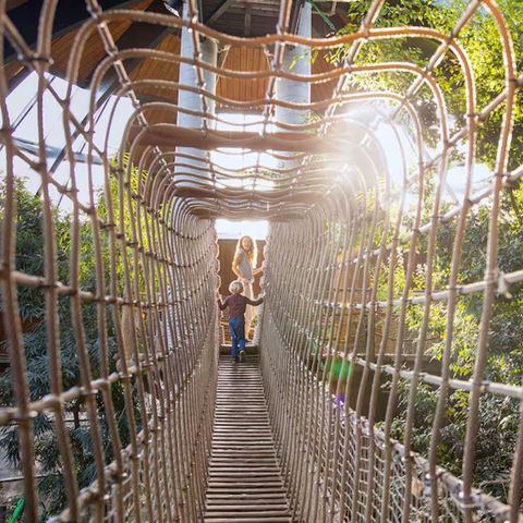 Center Parcs De Vossemeren - Limburg Belge - Image N°4