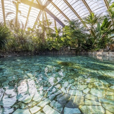 Center Parcs Park Erperheide - Limburg Belge - Image N°4