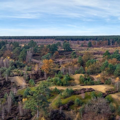Center Parcs Park Erperheide - Limburg Belge - Image N°6