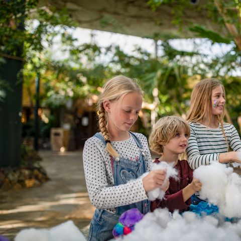 Center Parcs Park Erperheide - Limburg Belge - Image N°6