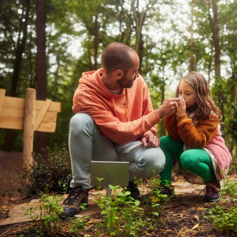 Center Parcs Park Erperheide - Limburg Belge - Image N°3