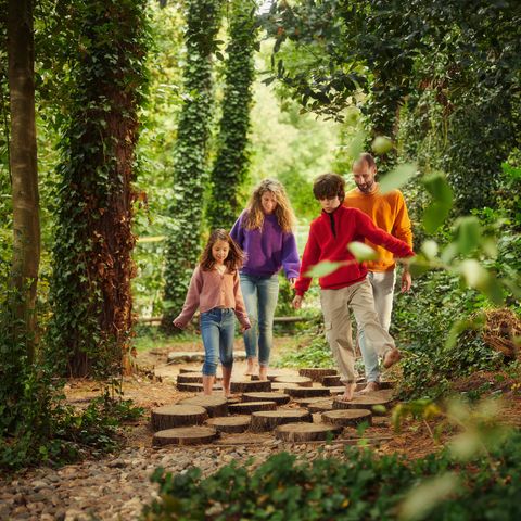 Center Parcs Park Erperheide - Limburg Belge - Image N°5