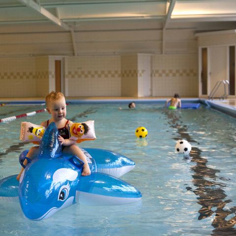 Buitenplaats Gerner - Camping Dalfsen - Image N°5