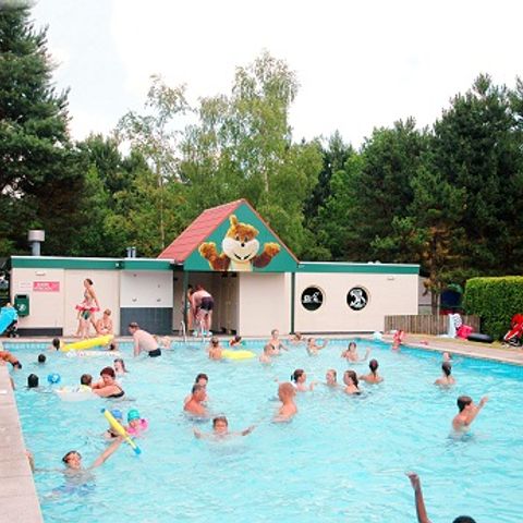Oostappen park Brugse Heide - Camping Valkenswaard - Image N°3