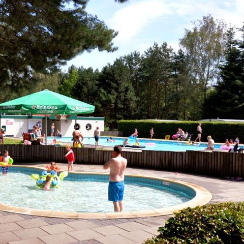 Oostappen park Brugse Heide - Camping Valkenswaard - Image N°4