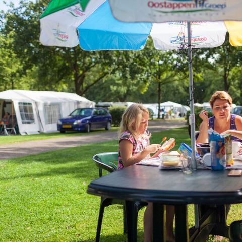 Oostappen park Brugse Heide - Camping Valkenswaard - Image N°6