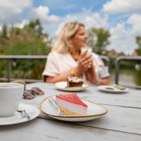 Landal Vakantiepark Zeebad - Sluis - Image N°6