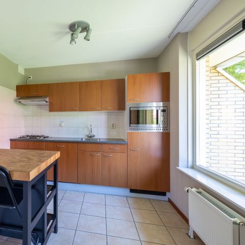 MAISON 8 personnes - Medemblik 8