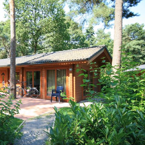 Chalet 4 personnes - Boekhorst