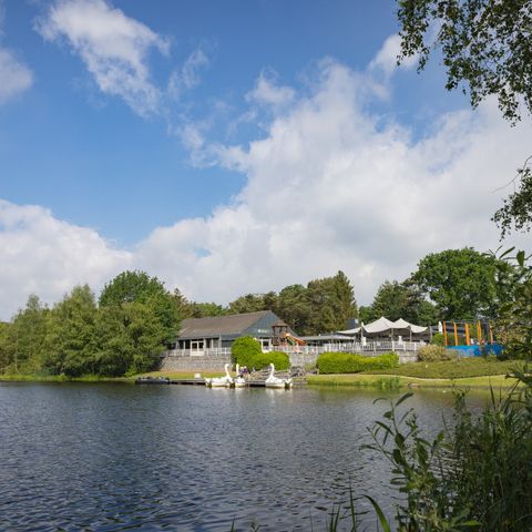 Roompot Bospark 't Wolfsven - Camping Geldrop-Mierlo - Image N°5