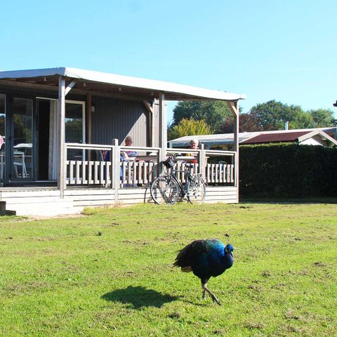 CHALET 6 personnes - Lavande