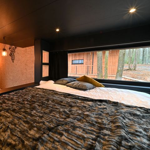 Chalet 4 personnes - Forest Cube Reconnect