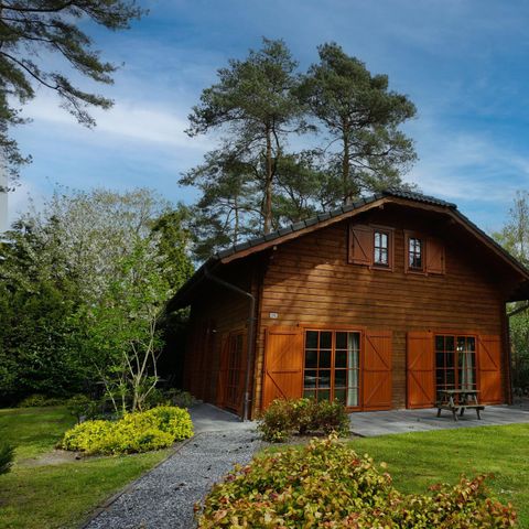 CHALET 12 personnes - Boekhorst l'etage 12