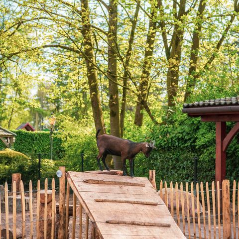 MAISON 6 personnes - Pavillon