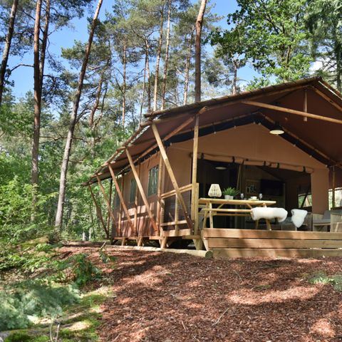 TENTE 6 personnes - Veluwelodge