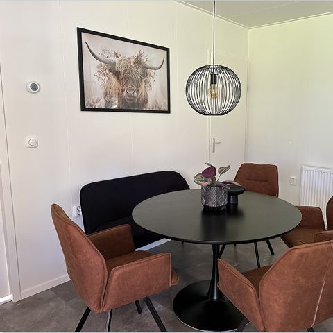 CHALET 6 personnes - Salon Veluwe