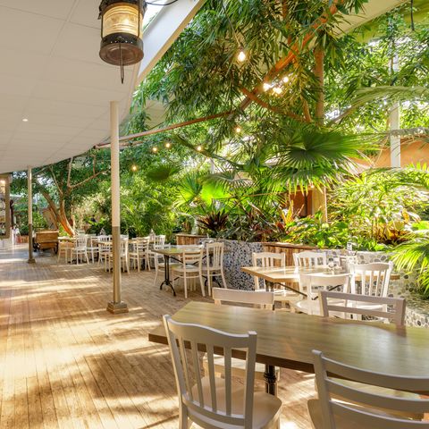 Center Parcs Limburgse Peel - Horst an der Maas - Image N°3