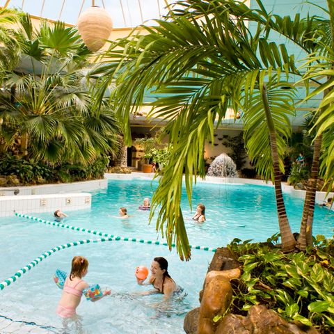 Center Parcs Limburgse Peel - Camping Horst an der Maas - Image N°4