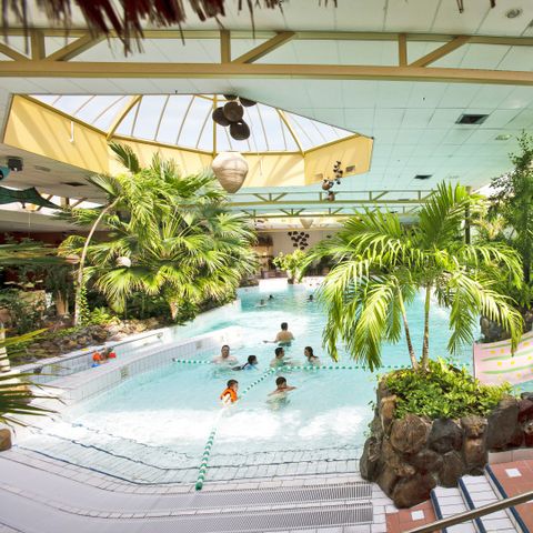 Center Parcs Limburgse Peel - Camping Horst an der Maas - Image N°6