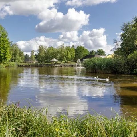 Center Parcs Limburgse Peel - Camping Horst an der Maas - Image N°3