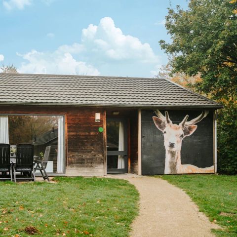 BUNGALOW 6 personnes - Damhert incl. Sauna