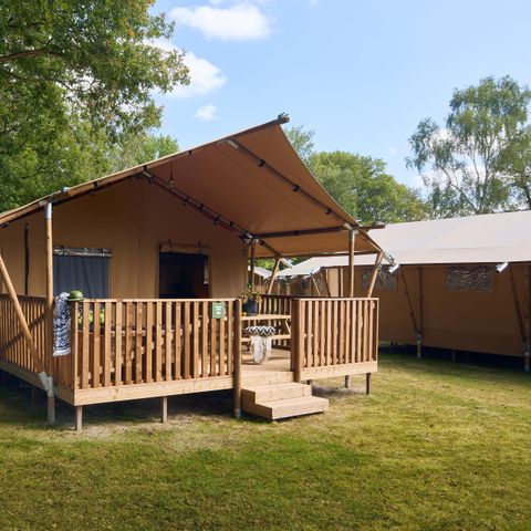 Tente en toile et en bois 6 personnes - Darwin