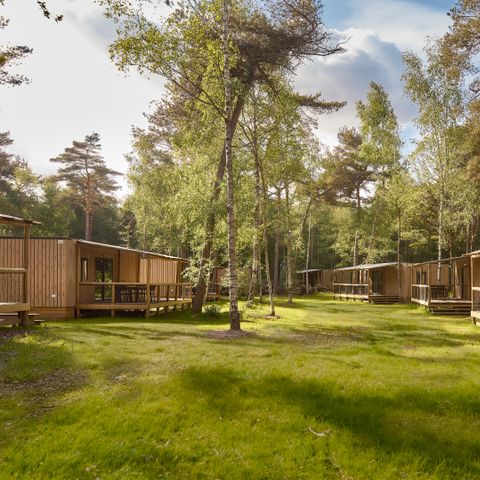 CHALET 5 personnes - Cabane forestière
