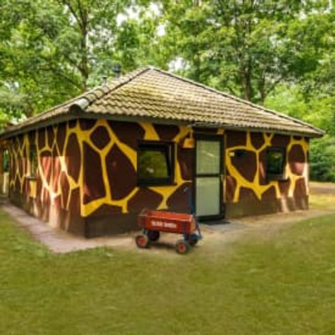 BUNGALOW 5 personnes - Forest Jungalow Kids - rénové