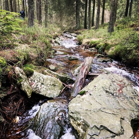 Camping Oos Heem - Liège - Image N°6