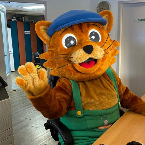 Vakantiepark De Oude Molen - Dal et Berg - Image N°2