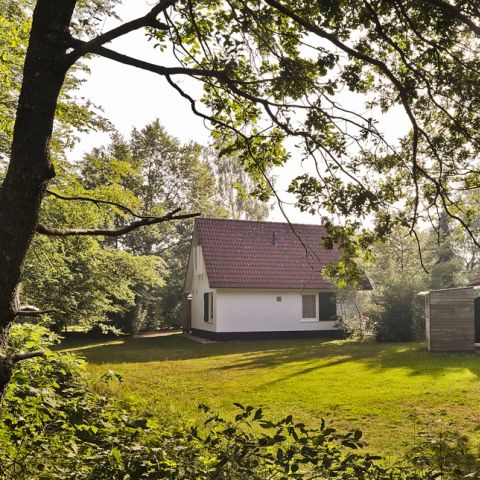 Summio Bungalowpark Het Drentse Wold - Camping Midden-Drenthe - Image N°6