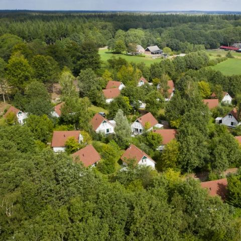 Summio Bungalowpark Het Drentse Wold - Camping Midden-Drenthe - Image N°5